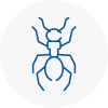 Ant Removals In Camden