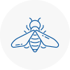 Bee Nest Removal Camden
