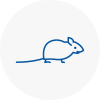Mice Exterminators In Camden