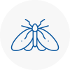 Moth Control Specialists In Camden