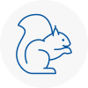 Camden Rodent Removals