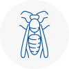 Camden Wasp Nest Removal